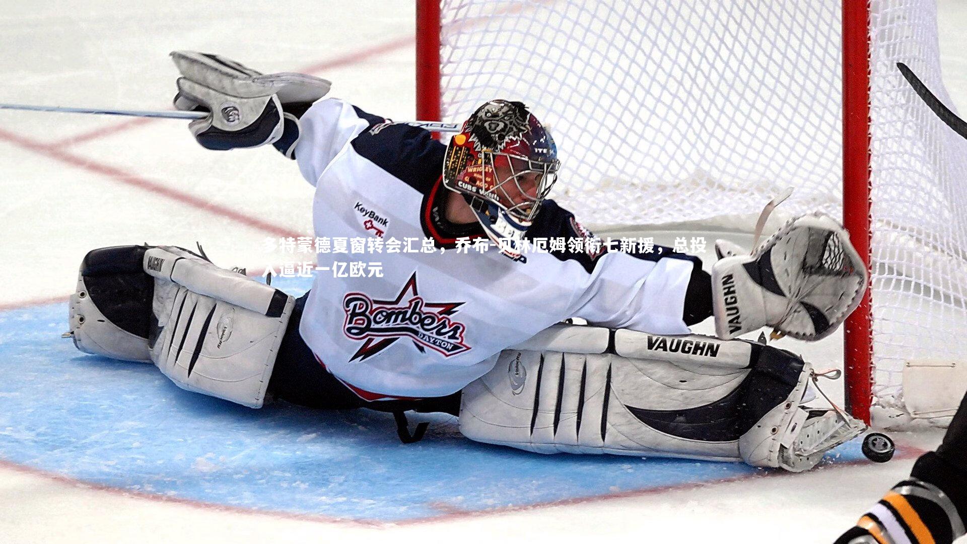 多特蒙德夏窗转会汇总，乔布-贝林厄姆领衔七新援，总投入逼近一亿欧元